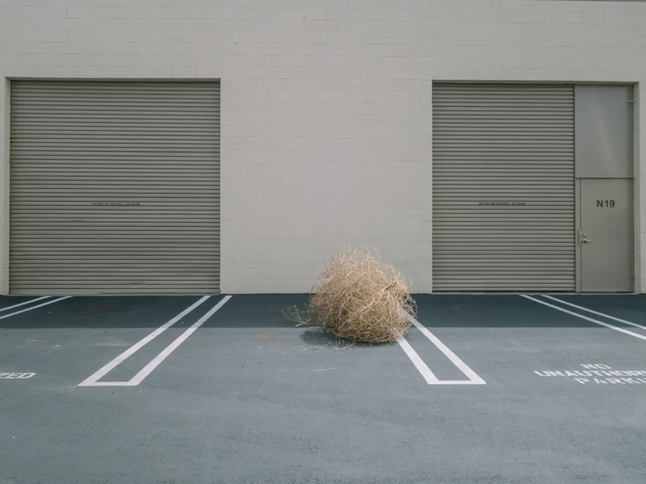 The 'Signal' Fiber Guards Your Heartbeat's Flow