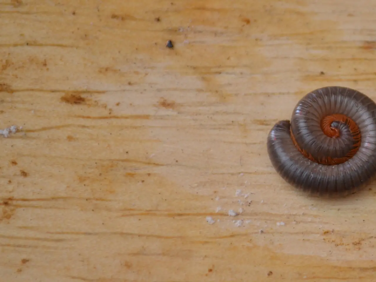 Enhancement of Buttocks: Procedures, Varieties, Risks, Cost Estimates