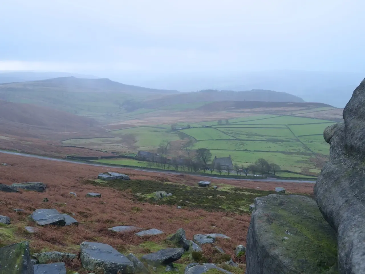 High-Profit, Eco-Friendly Brazil Nut Farming: Lucrative, Long-Term Opportunity for Indian...