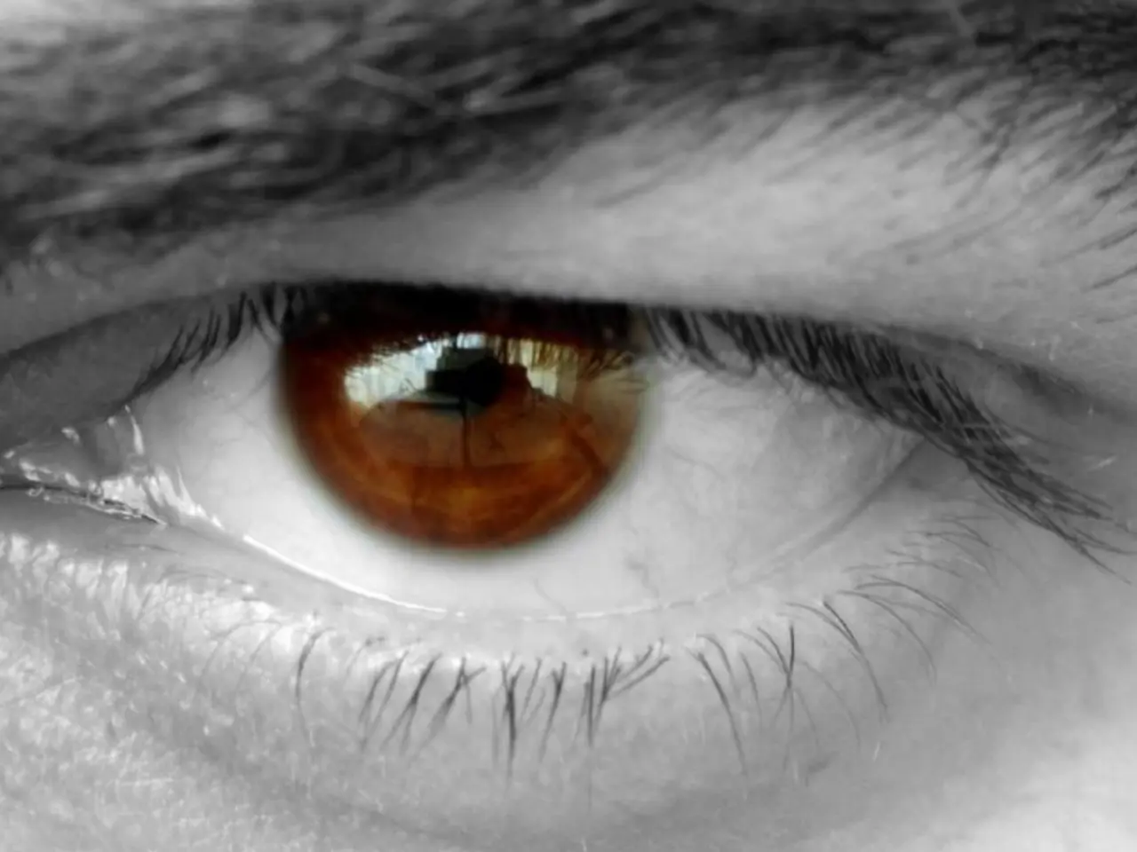 Eye infection symptoms, identification, and remedies: Red Eye, signs, testing, and solutions