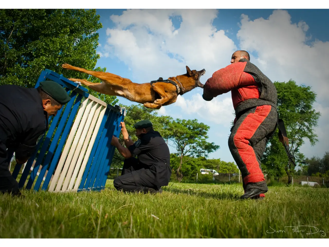 Varieties of Personal Injury Lawsuits You Ought to Recognize