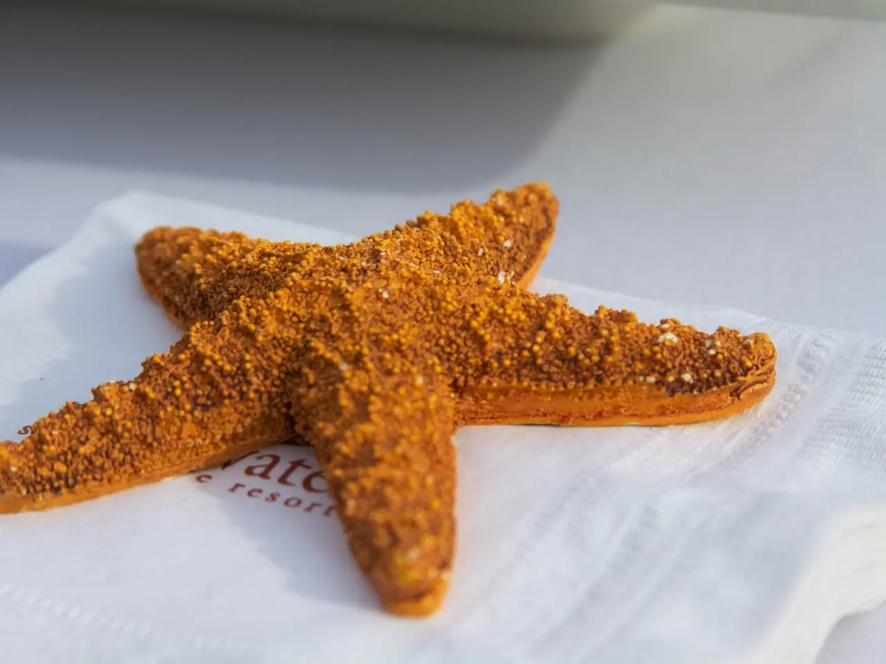 Stomach Cells: An Overview of Their Kinds, Functions, and Positioning