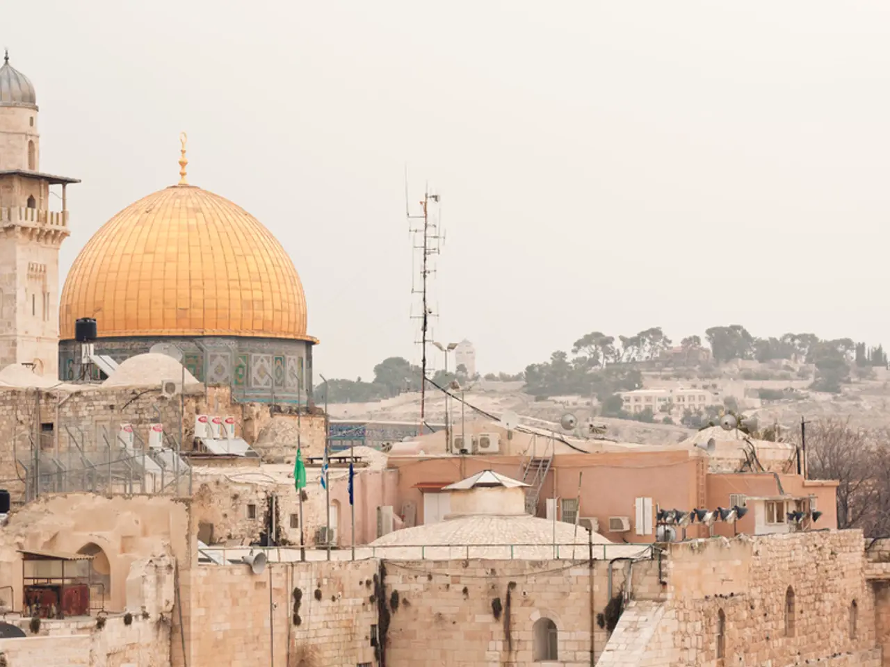 Exploration of Organic Building Materials: Beyond the Realm of Hobbit Homes and Adobe Structures