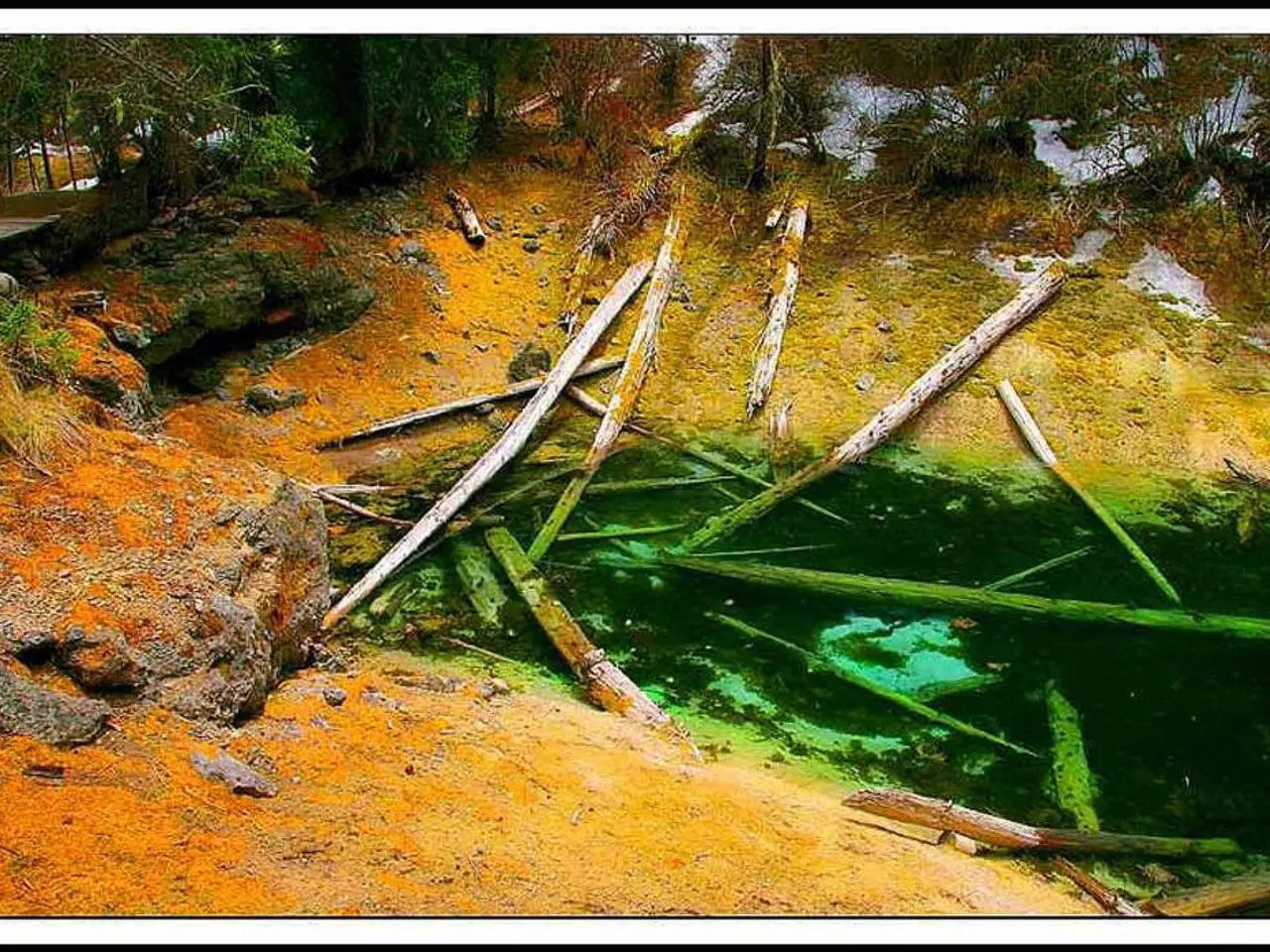 Maritime Pine Bark Extract's Neuroprotective Advantages