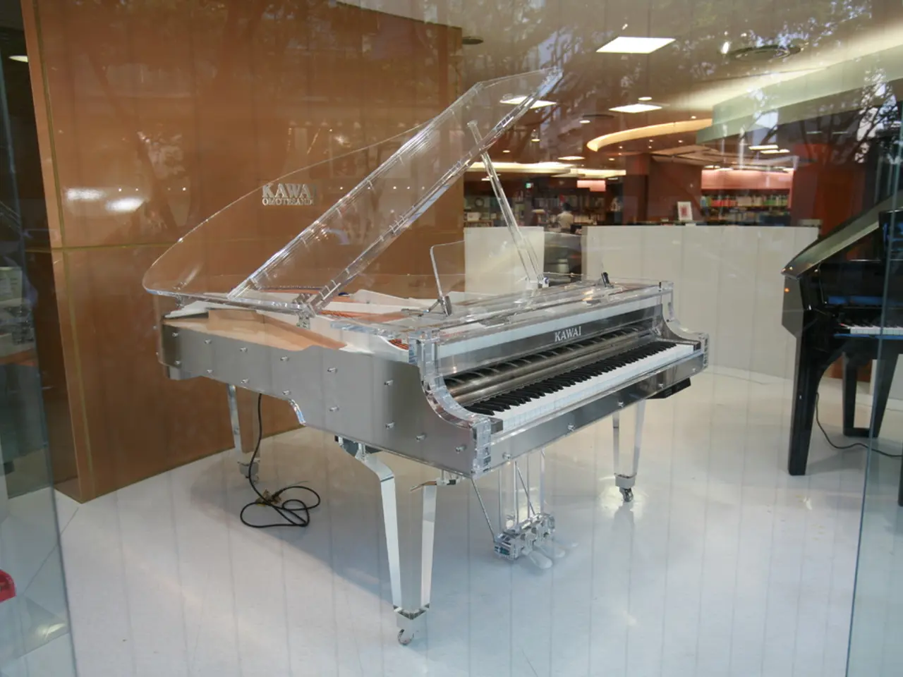 Comparing Schizophrenia Brains to Neurotypical Brains: Differences and Insights