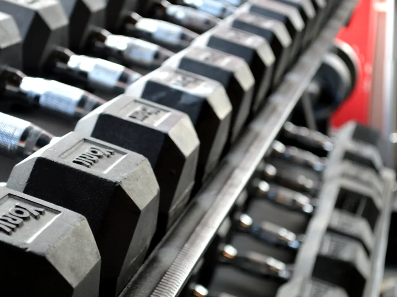 Trainer suggests quick three-move strength routine with dumbbells for when time is limited