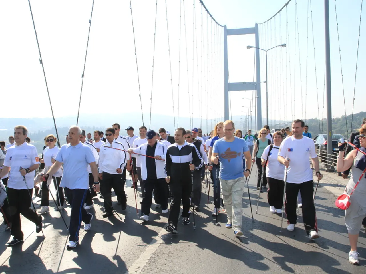 Elderly Individuals and Their Requirement for a Canes for Support