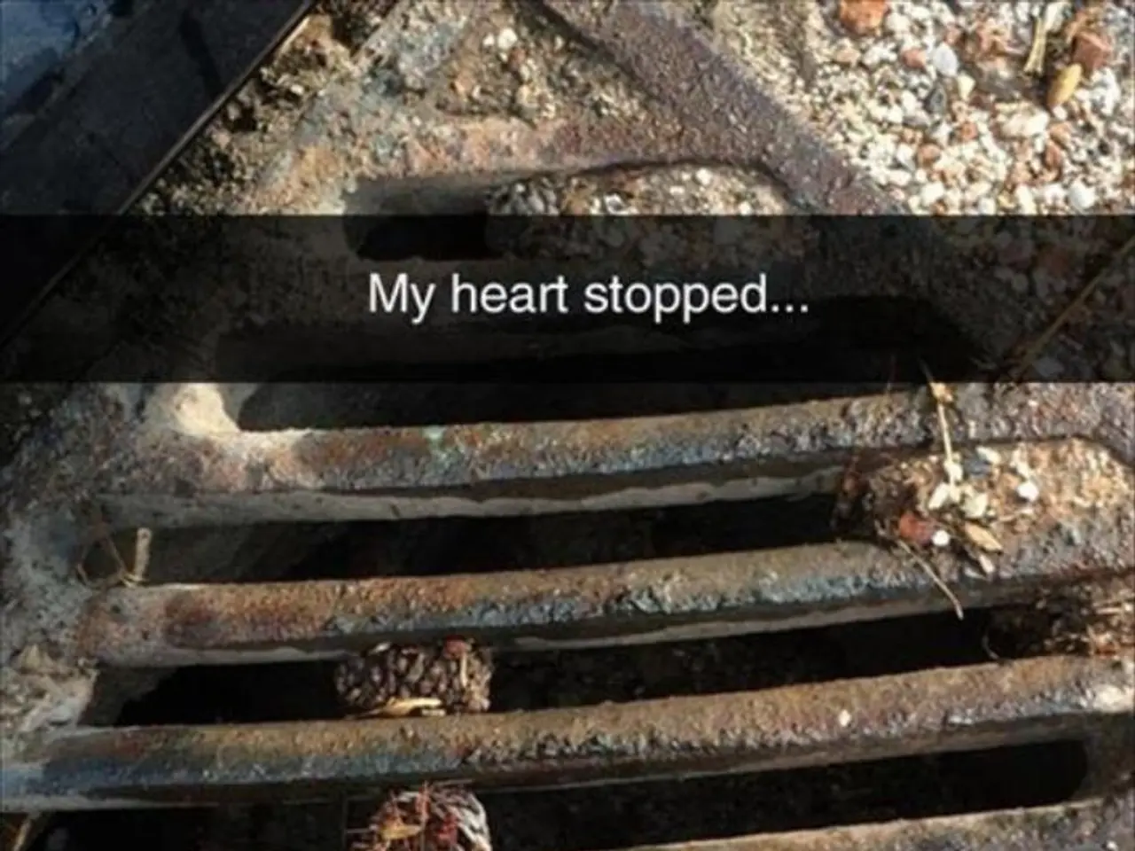 Cardiovascular Diseases: Identifying Risks, Implementing Preventive Measures, and Further...