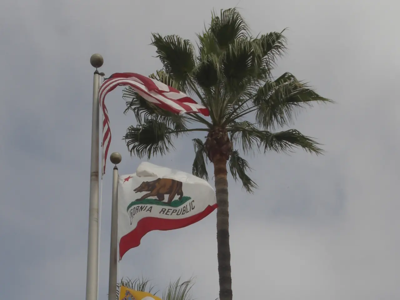 In this picture I can see couple of trees and couple of flag poles with three flags and a cloudy...