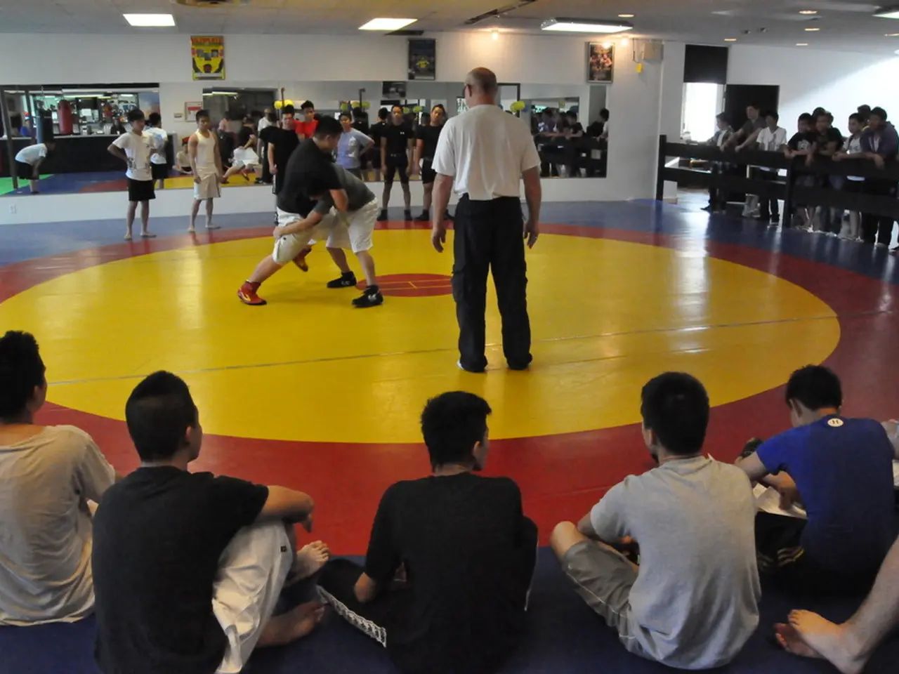 In the picture we can see two people are wrestling on the wrestling floor and near to them, we can...