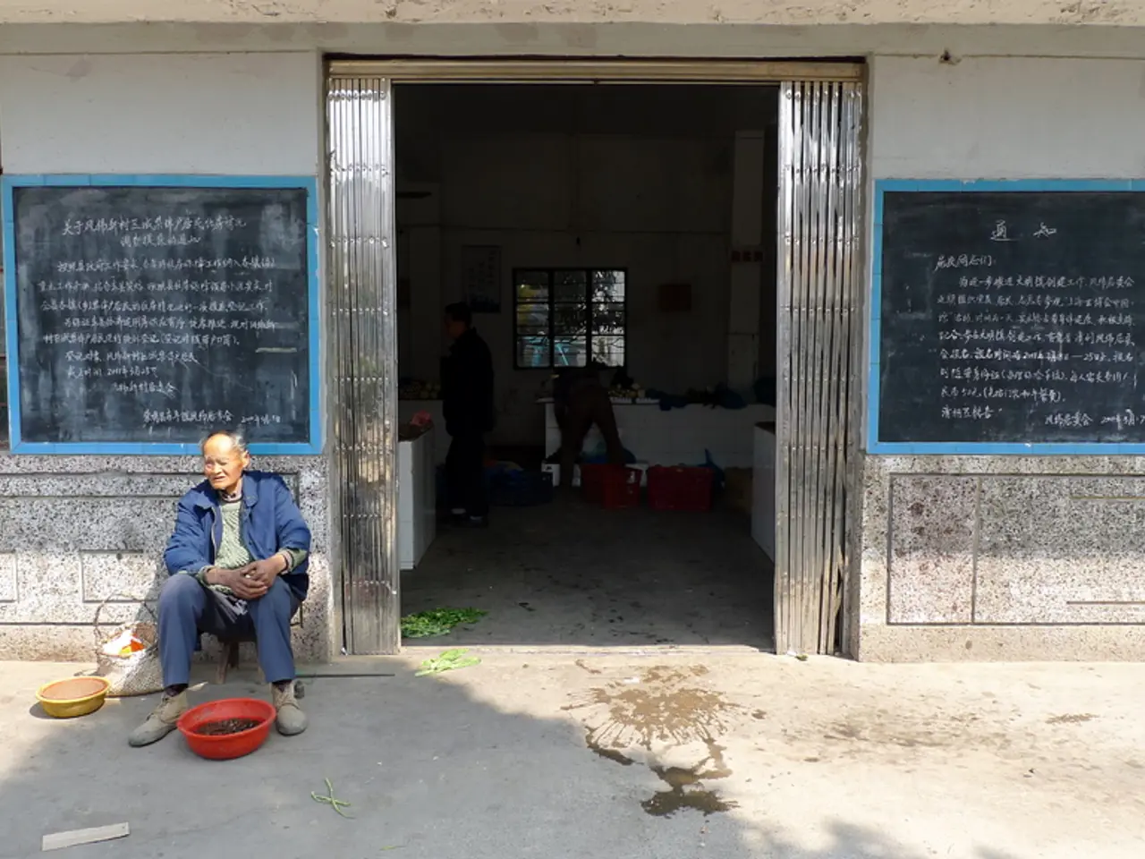 In the image there is an old woman sitting on left side in front a building with plants in front of...