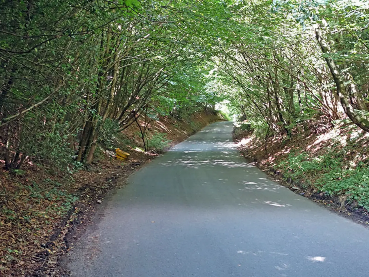 In the image there is a road and around the road there is a lot of grass and trees.