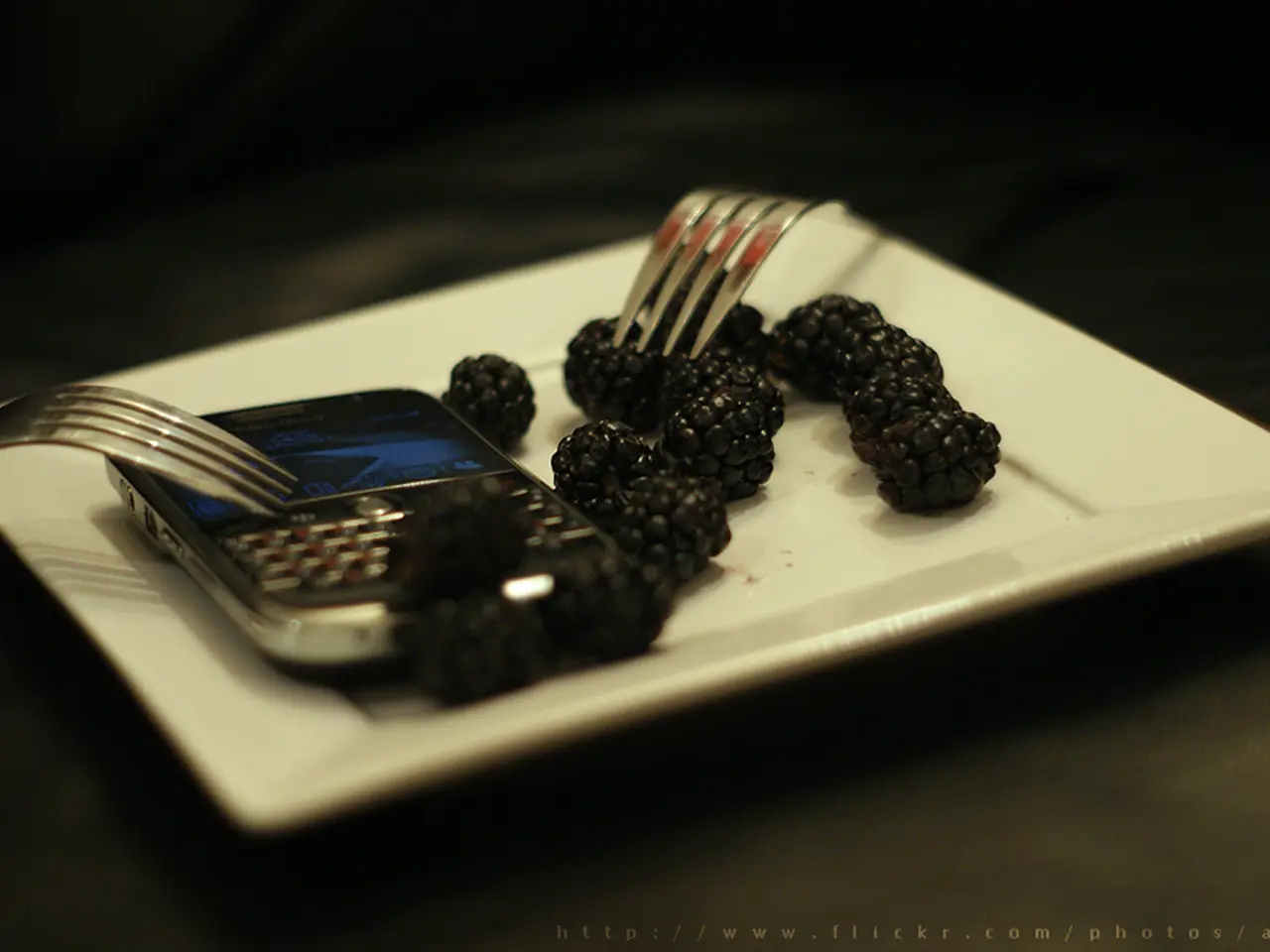 In this image, there is a plate contains blackberries, forks and phone.