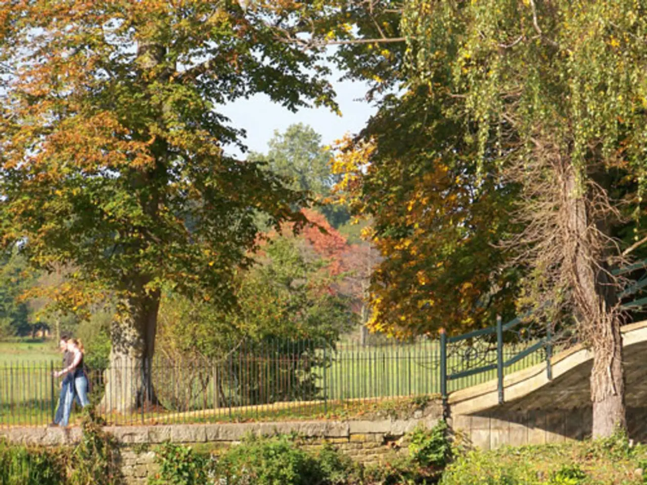 This image consists of a park with a lot of trees and plants and fencing all around where two...