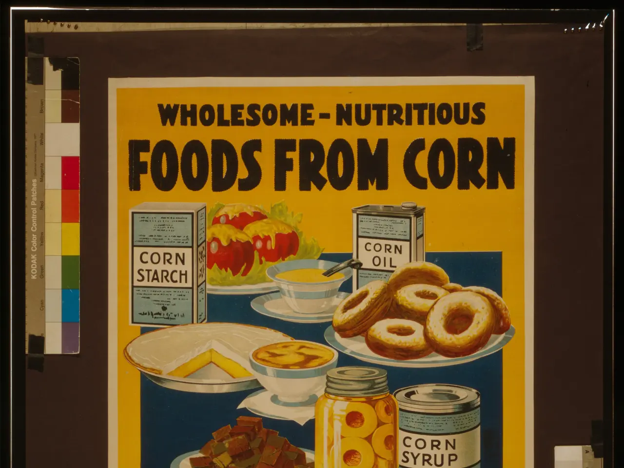 The image shows a poster with text and images of various food items from the United States Food...
