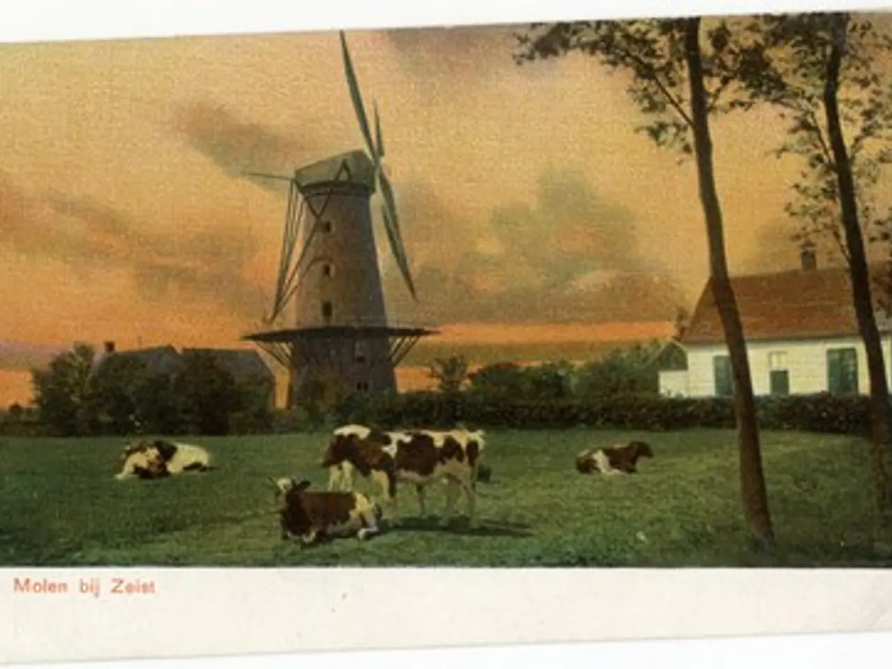The image shows cows grazing in a field with a windmill in the background, surrounded by trees and...