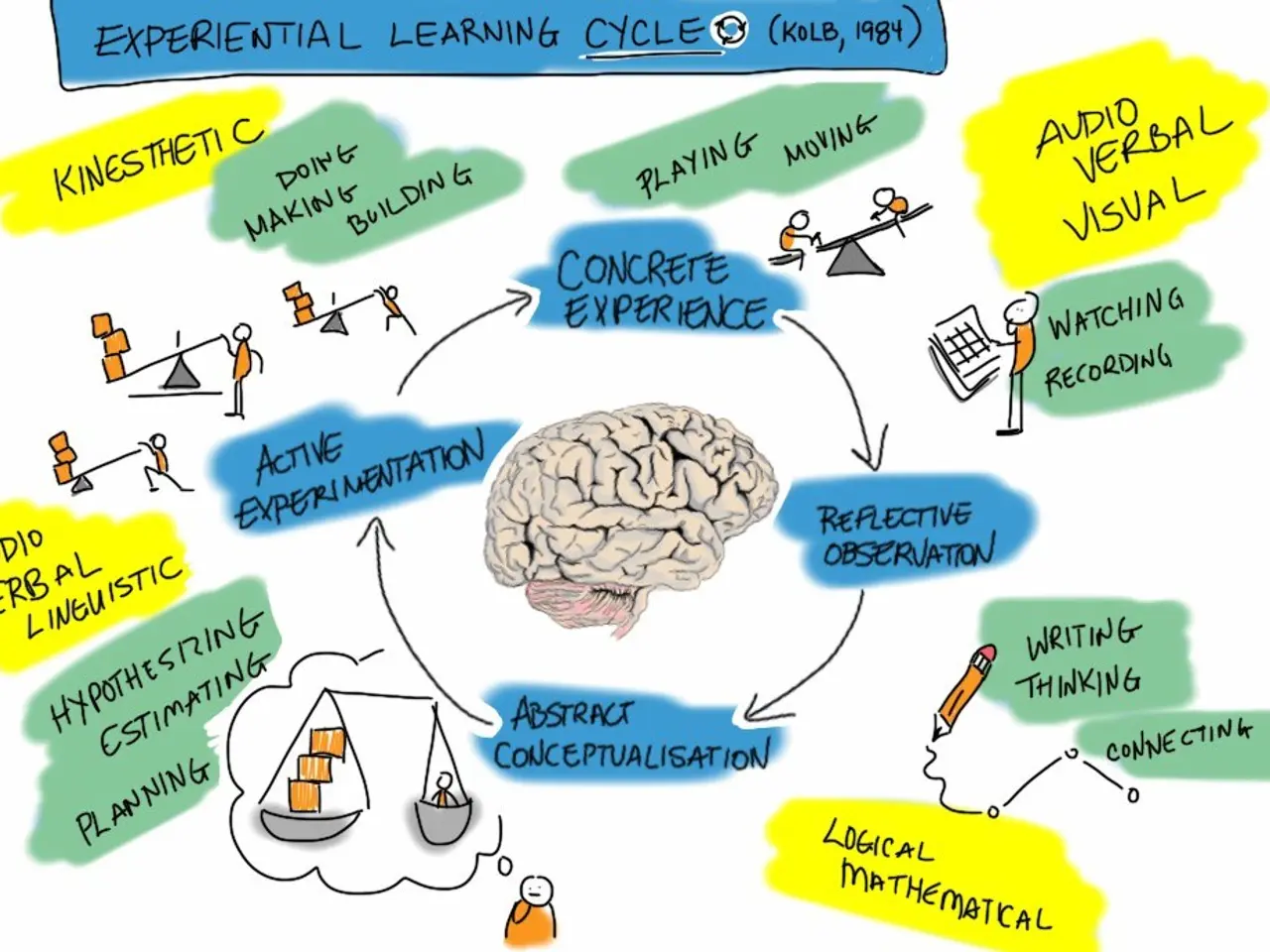 The image shows a mind map of the experiential learning cycle, with a brain in the center...