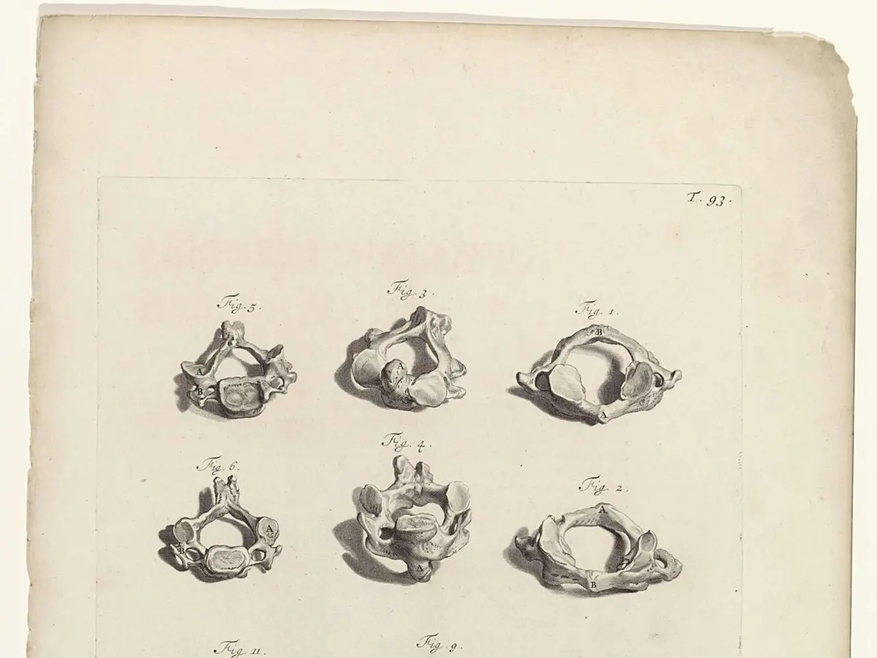 The image shows a page from a book with a drawing of a variety of objects on it, including the...