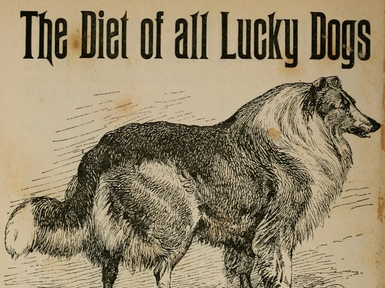 The image shows a poster with a picture of a dog and text that reads "Spratts Patent Dog Cakes -...