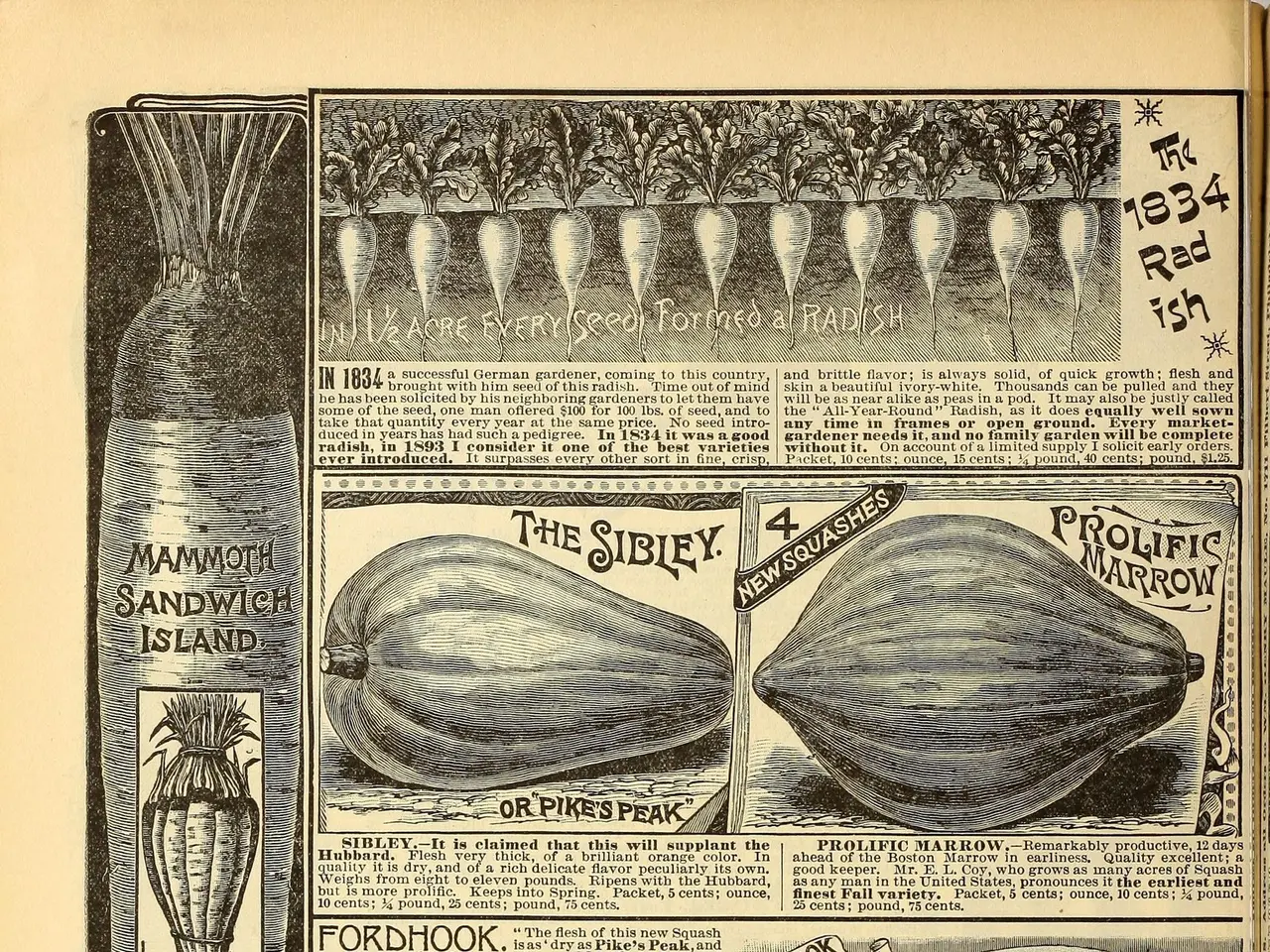 The image shows an open book with a variety of vegetables depicted on it. The vegetables include...