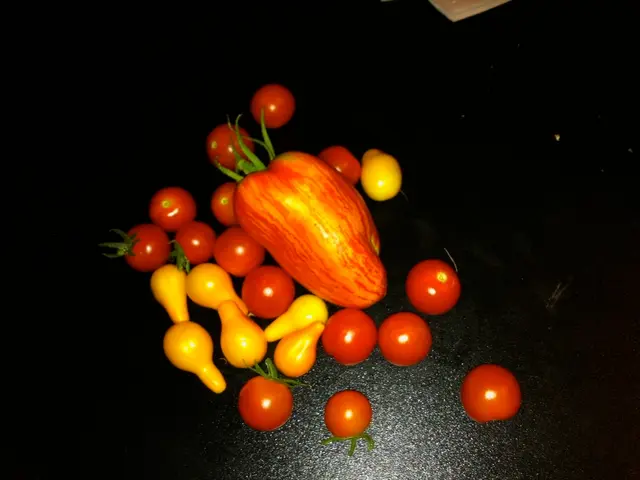 Thirteen Nutritious Fruits With Generous Iron Content