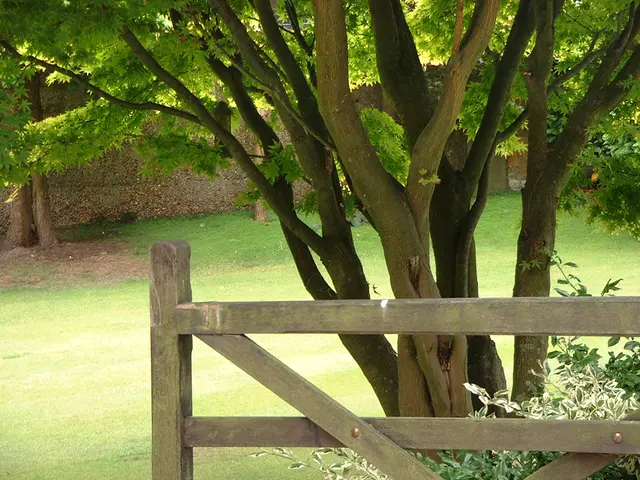 Enhancing Public Health through Urban Greenspace Construction