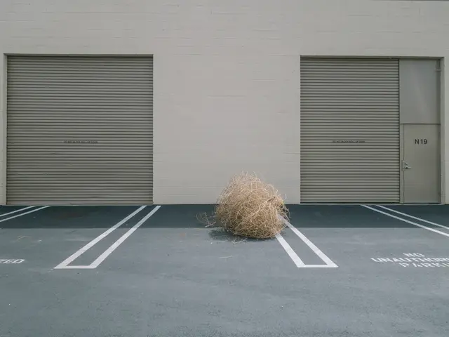 The 'Signal' Fiber Guards Your Heartbeat's Flow