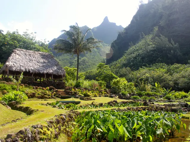 The "Felt Sensations" or "Perceived Symptoms" in Homeopathic Materia Medica