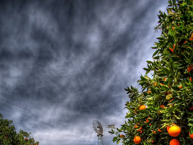 Organism Exhibiting Retrogression in Evolutionary Process