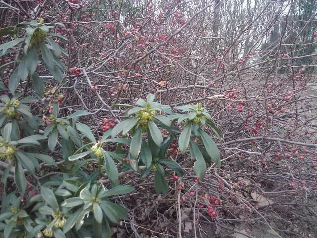 Right-Sided Headache Origins: Explanations, Implications, and Swift Relief Strategies