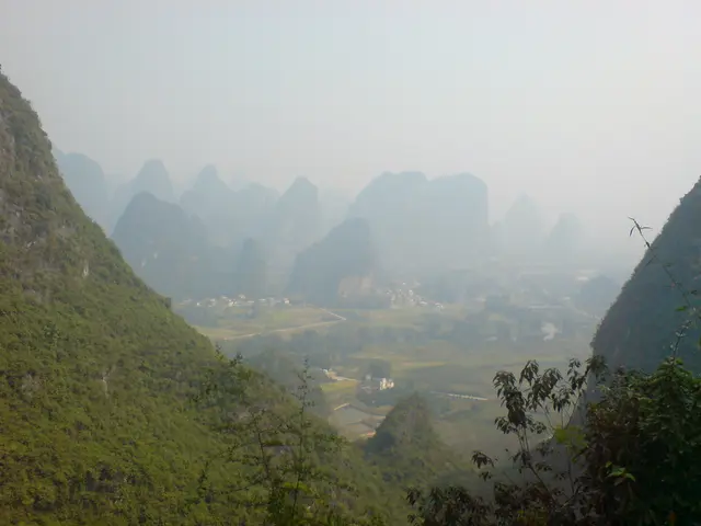 Overcoming Brain Fog Related to Vitamin B12: Crucial Information and Remedies