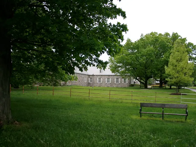 Exploring Earth's Energy: Discovering Potential Health Advantages from Earthing