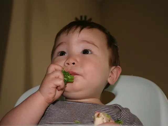 Nutritious Meal Plan Tailored for Autism Management