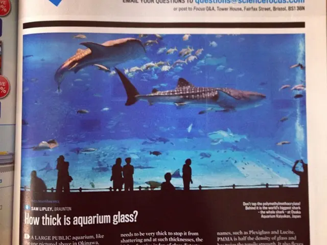 Diabetes and Stroke Connection: Examining Links, Risk Factors, and Preventive Measures