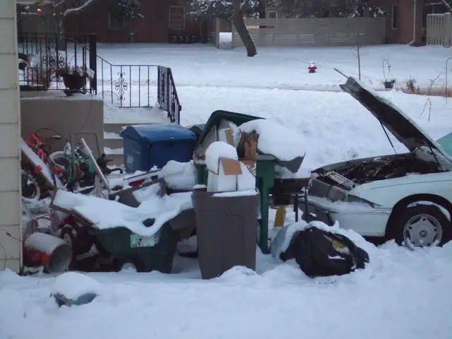 Psychiatric assessment underway for suspected ICE assailant