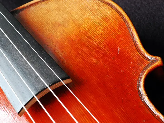 "Joe Trohman, of Fall Out Boy, will miss the remaining 2025 shows due to the necessity of surgery...