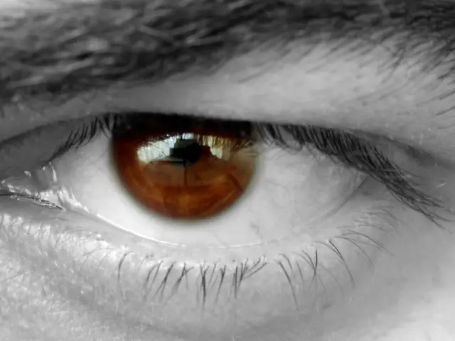 The Aging Process of Eyes Explained (Along with Preventive Measures)