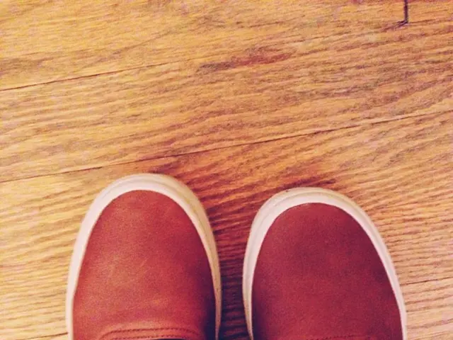 Skeletal components - specific focus on tibia, fibula, metatarsals, and phalanges; associated...