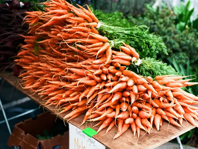 Benefits, Nutrition, Dietary Usage, and Potential Risks Associated with Carrots