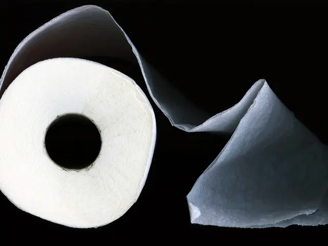 Testicular Mass: Origin, Examination, Therapy, and Further Insights