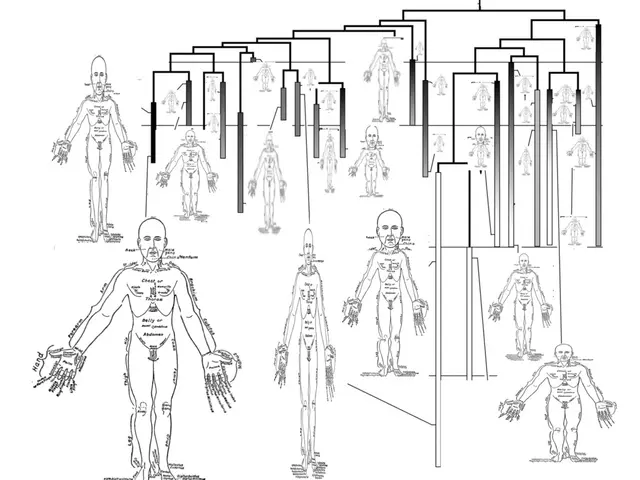 Lung and respiratory structures: Their roles, facts, health issues, and additional information