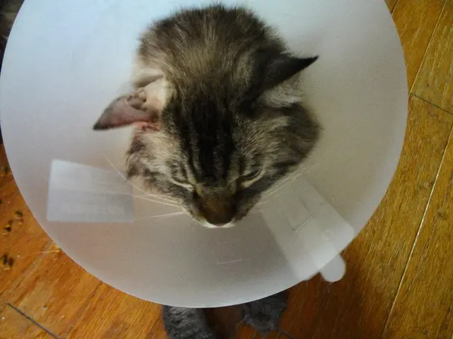 Medical device company Anaconda Biomed has secured the CE Mark for its ANA5 Funnel Catheter, a...