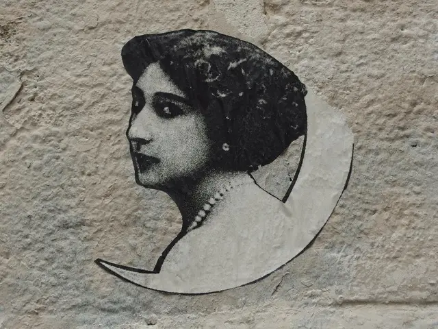 Unveiling the Unheralded Journey of Lise Meitner: The Austrian Equivalent to Marie Curie, Yet...