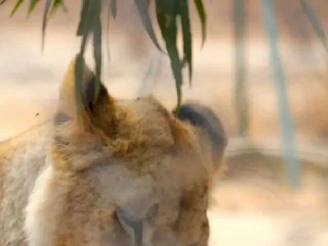 "Avoid blaming the deliverer for the distressing message"