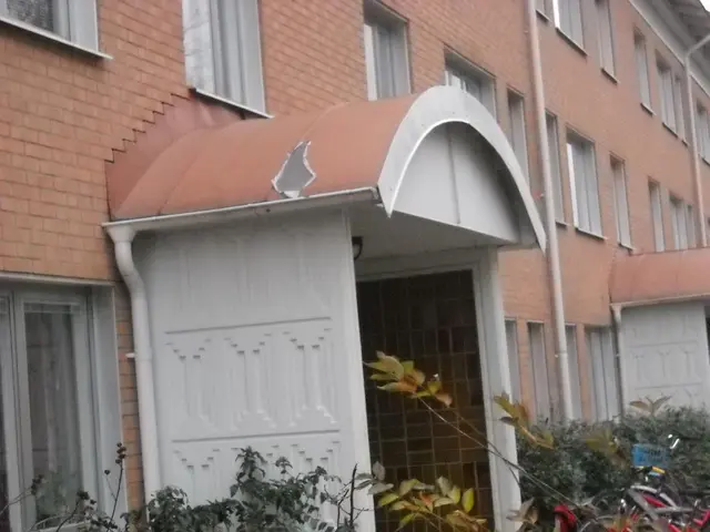 World unveils initial approach for credit system focused on global transitions