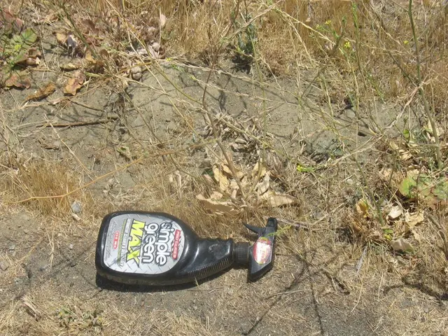 Partners in the Soil Life of Plants: Nutrients and Beyond