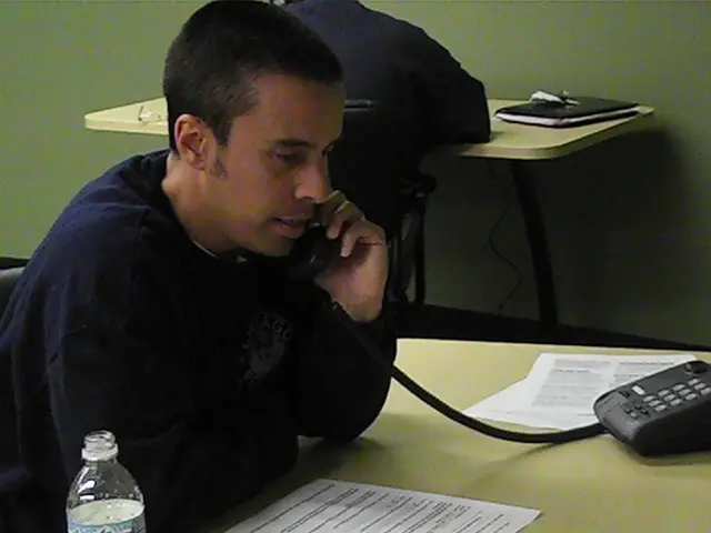 Telehealth Mental Counseling: Advantages, Confidentiality Issues, and Potential Risks