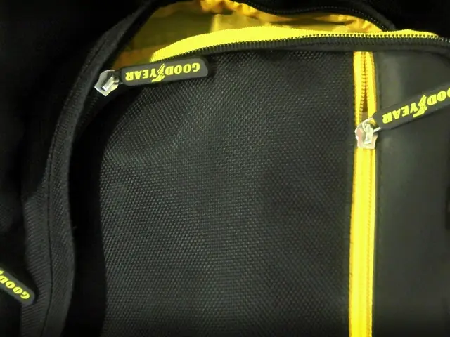 Enforcement initiated: Mandatory usage of GOST standards on school backpacks takes effect