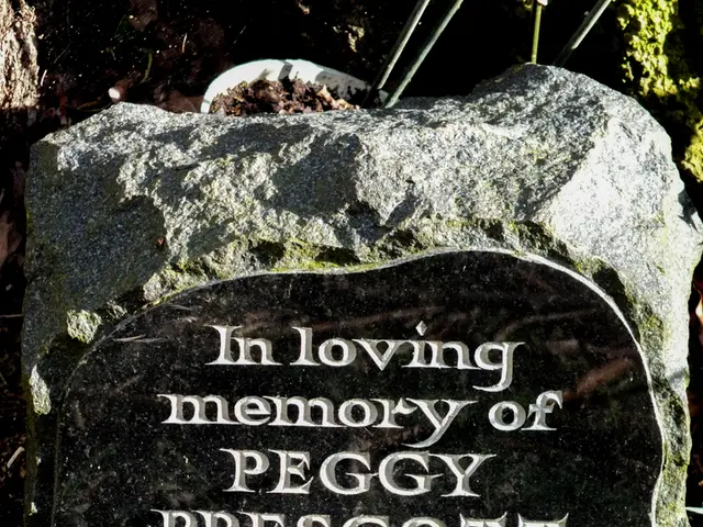 Archaic Humanity Cherished Vibrant Equipment