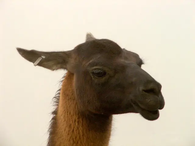 Reasons Behind the Variability in Ear Wiggling Ability Among Individuals